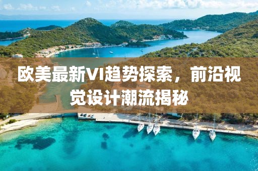 欧美最新VI趋势探索，前沿视觉设计潮流揭秘