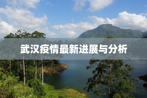 武汉疫情最新进展与分析