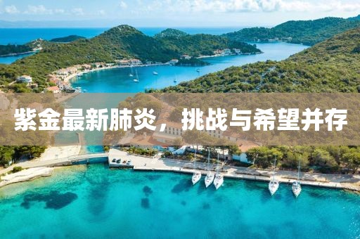 紫金最新肺炎，挑战与希望并存