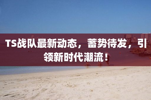 TS战队最新动态，蓄势待发，引领新时代潮流！