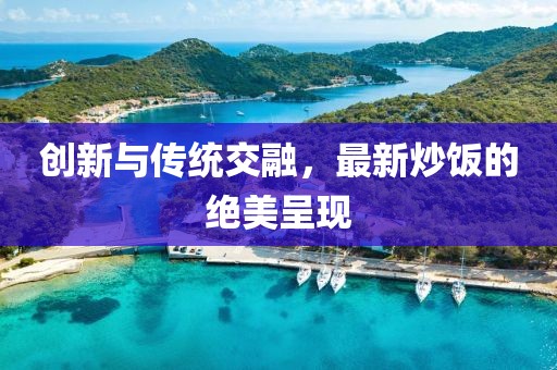 创新与传统交融，最新炒饭的绝美呈现