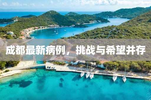 成都最新病例，挑战与希望并存