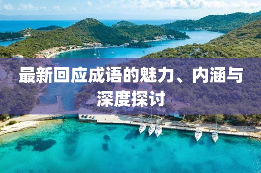 最新回应成语的魅力、内涵与深度探讨