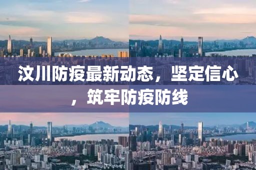 汶川防疫最新动态，坚定信心，筑牢防疫防线