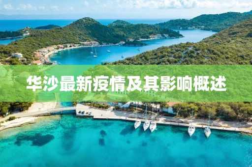华沙最新疫情及其影响概述