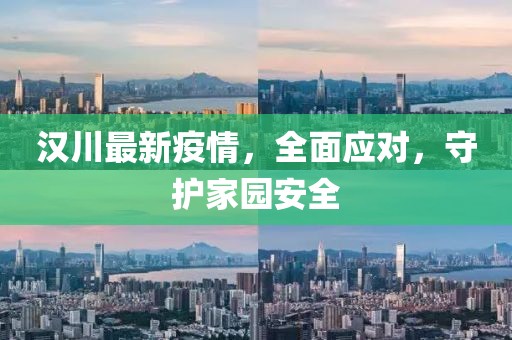 汉川最新疫情，全面应对，守护家园安全