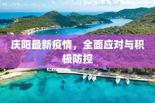 庆阳最新疫情，全面应对与积极防控