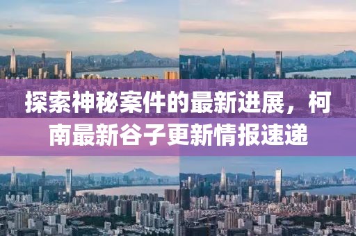 探索神秘案件的最新进展，柯南最新谷子更新情报速递