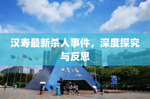 汉寿最新杀人事件，深度探究与反思