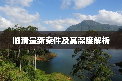 临清最新案件及其深度解析