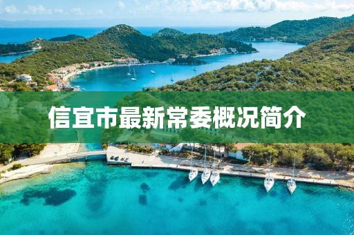 信宜市最新常委概况简介