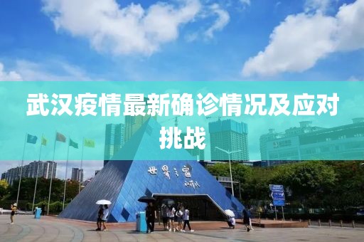 武汉疫情最新确诊情况及应对挑战