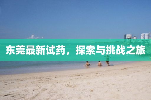 东莞最新试药，探索与挑战之旅