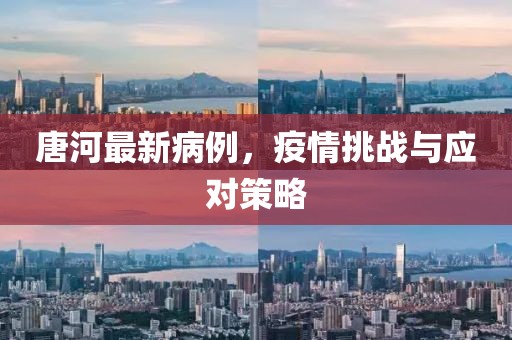唐河最新病例，疫情挑战与应对策略