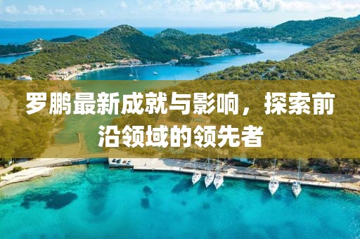 罗鹏最新成就与影响，探索前沿领域的领先者