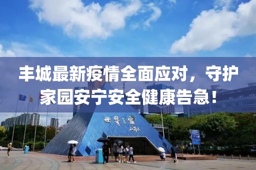 丰城最新疫情全面应对，守护家园安宁安全健康告急！