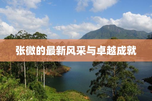 张微的最新风采与卓越成就