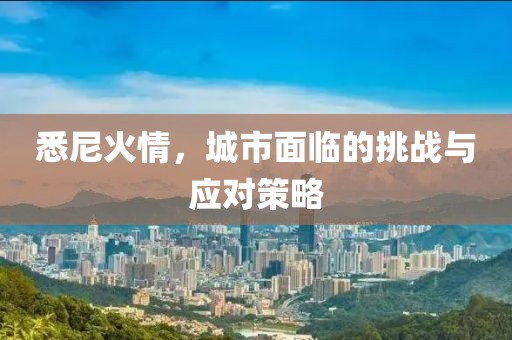 悉尼火情，城市面临的挑战与应对策略