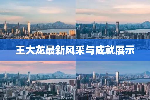 王大龙最新风采与成就展示