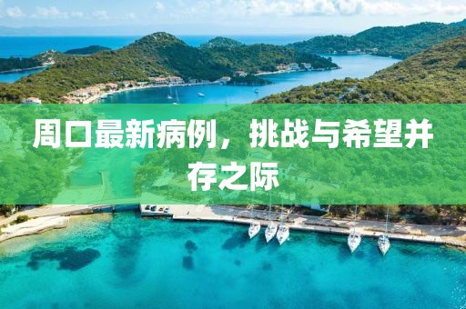 周口最新病例，挑战与希望并存之际
