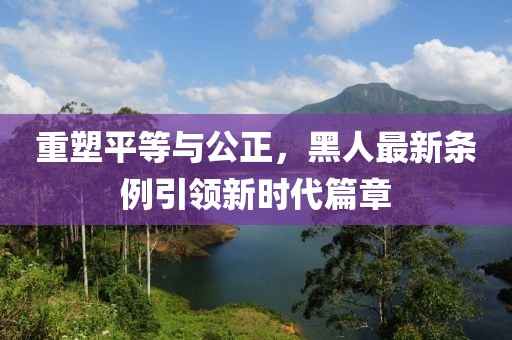 重塑平等与公正，黑人最新条例引领新时代篇章