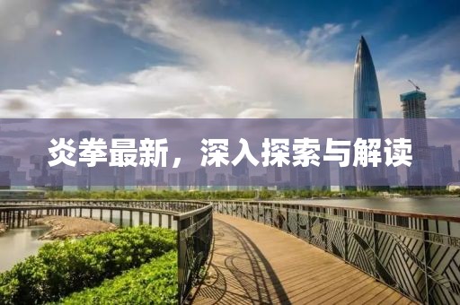 炎拳最新，深入探索与解读