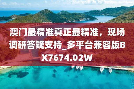 澳门最精准真正最精准，现场调研答疑支持_多平台兼容版BX7674.02W