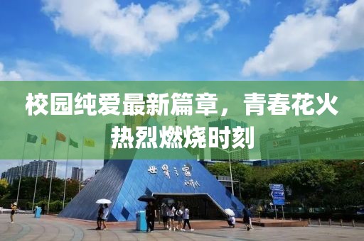 校园纯爱最新篇章，青春花火热烈燃烧时刻