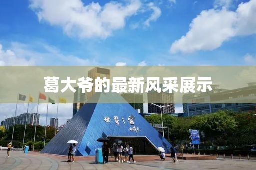 葛大爷的最新风采展示