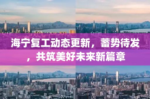 海宁复工动态更新，蓄势待发，共筑美好未来新篇章
