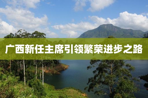 广西新任主席引领繁荣进步之路