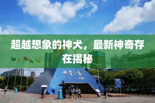 超越想象的神犬，最新神奇存在揭秘