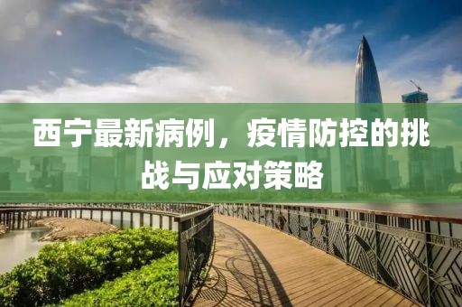 西宁最新病例，疫情防控的挑战与应对策略