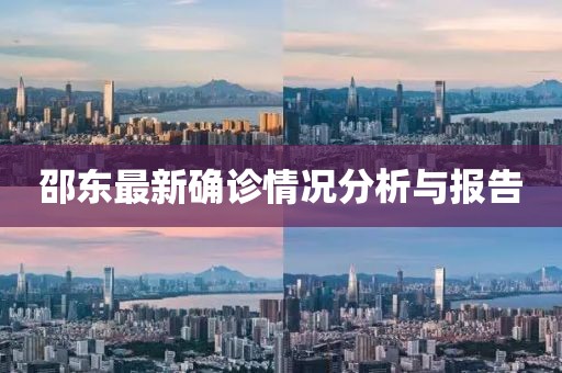 邵东最新确诊情况分析与报告