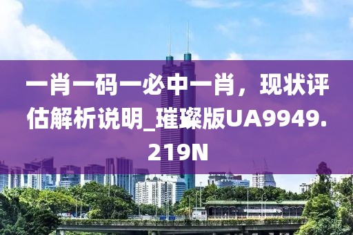 一肖一码一必中一肖，现状评估解析说明_璀璨版UA9949.219N
