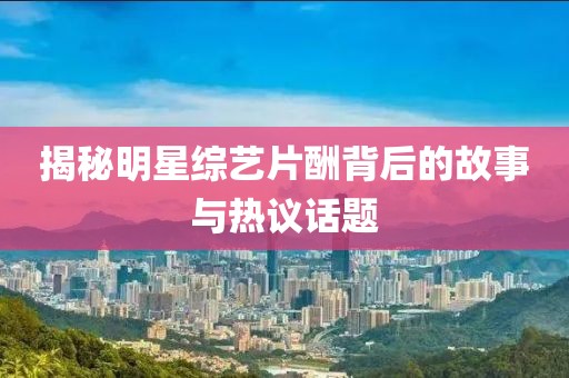 揭秘明星综艺片酬背后的故事与热议话题