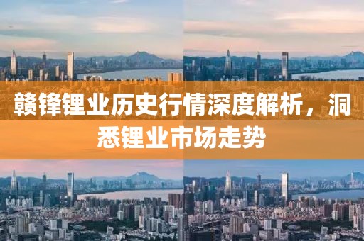 赣锋锂业历史行情深度解析，洞悉锂业市场走势