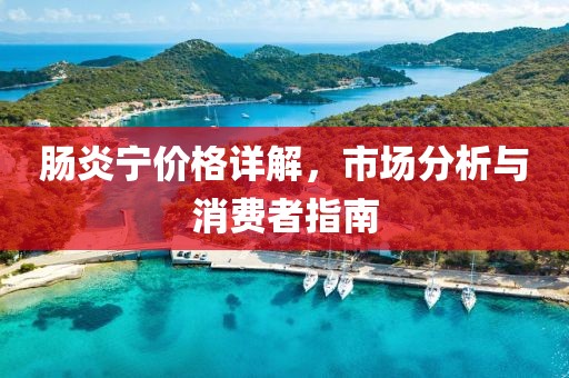 肠炎宁价格详解，市场分析与消费者指南