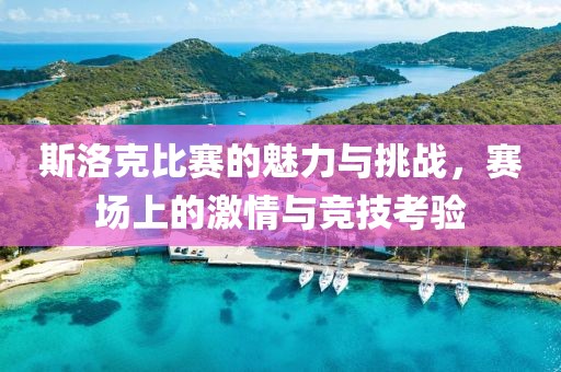 斯洛克比赛的魅力与挑战，赛场上的激情与竞技考验