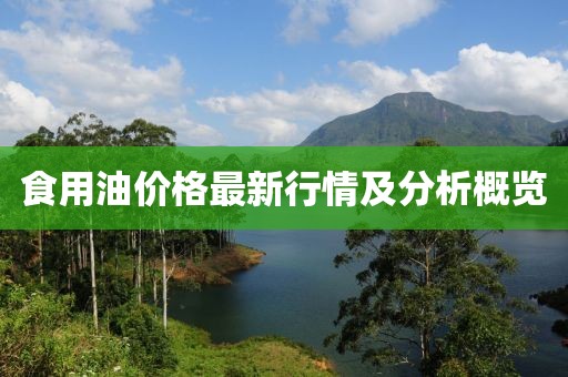 食用油价格最新行情及分析概览