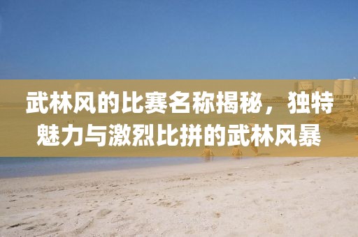 武林风的比赛名称揭秘，独特魅力与激烈比拼的武林风暴