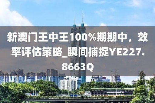 新澳门王中王100%期期中，效率评估策略_瞬间捕捉YE227.8663Q