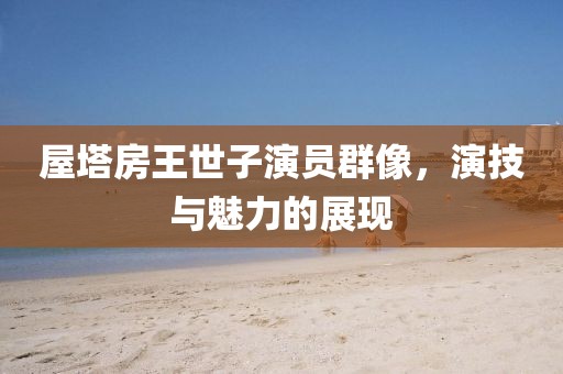 屋塔房王世子演员群像，演技与魅力的展现