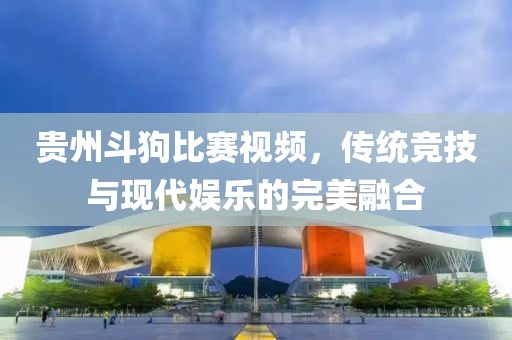 贵州斗狗比赛视频，传统竞技与现代娱乐的完美融合