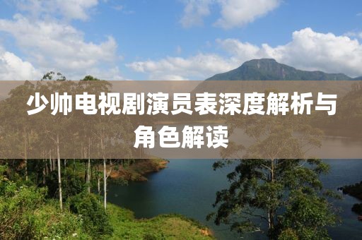 少帅电视剧演员表深度解析与角色解读