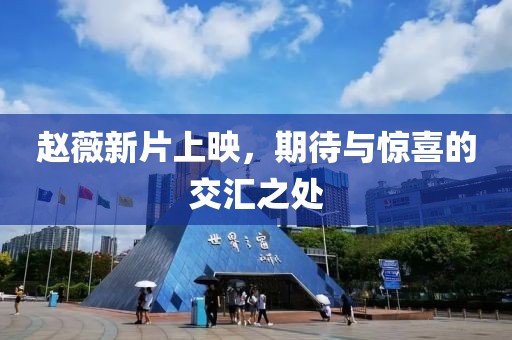 赵薇新片上映，期待与惊喜的交汇之处