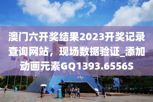 澳门六开奖结果2023开奖记录查询网站，现场数据验证_添加动画元素GQ1393.6556S