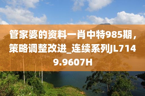 管家婆的资料一肖中特985期，策略调整改进_连续系列JL7149.9607H