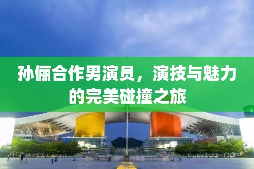孙俪合作男演员，演技与魅力的完美碰撞之旅