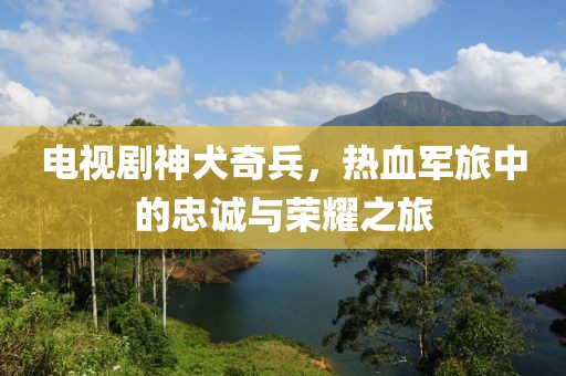 电视剧神犬奇兵，热血军旅中的忠诚与荣耀之旅